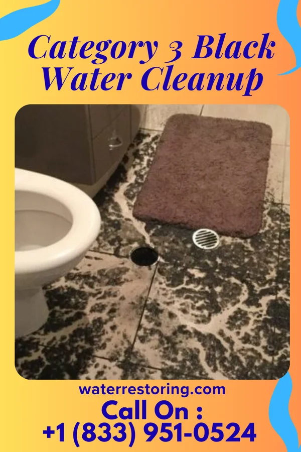 Category 3 Black Water Cleanup in Walker, IA