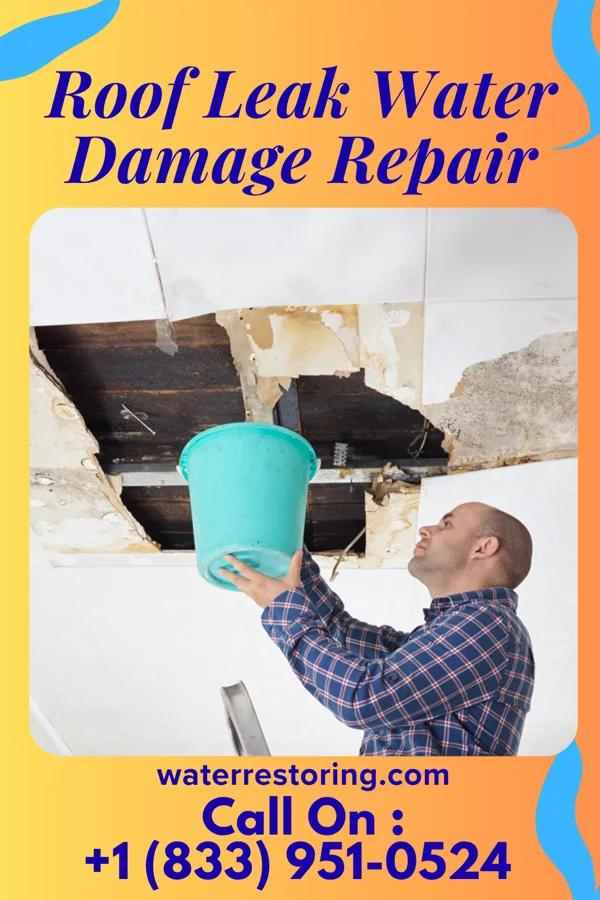 Roof Leak Water Damage Repair in Walker, IA